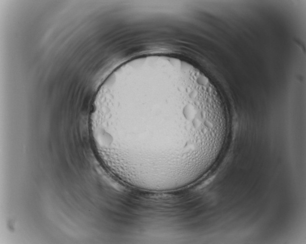 X0000103501417200809262003