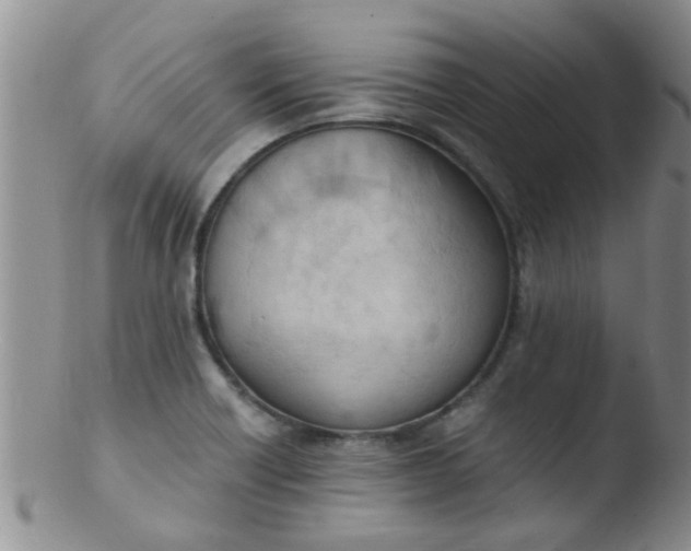 X0000103501418200809262003