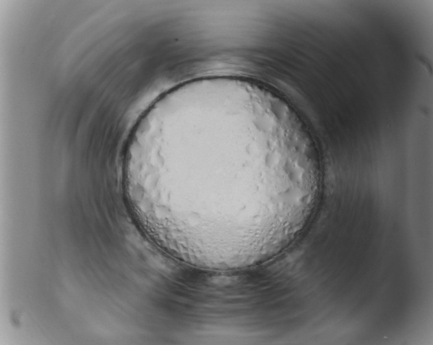 X0000103501419200809262003