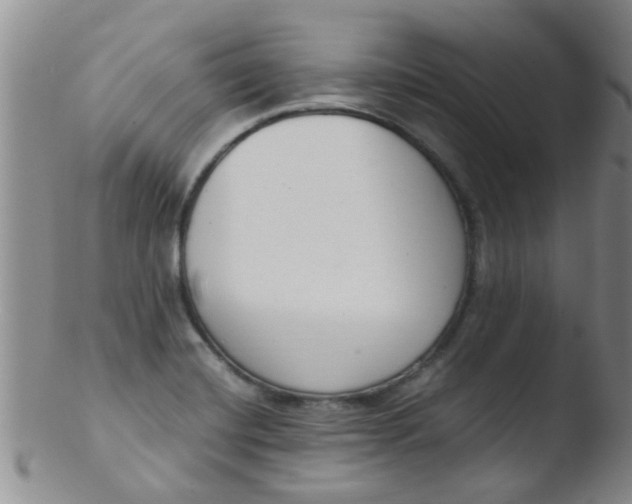 X0000103501420200809262003