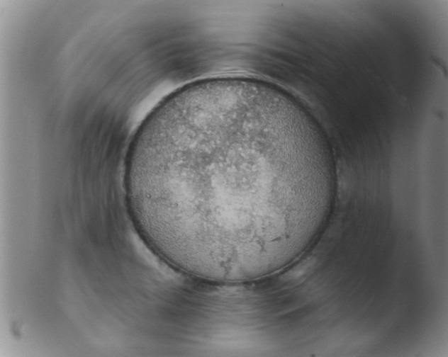 X0000103501422200809262003