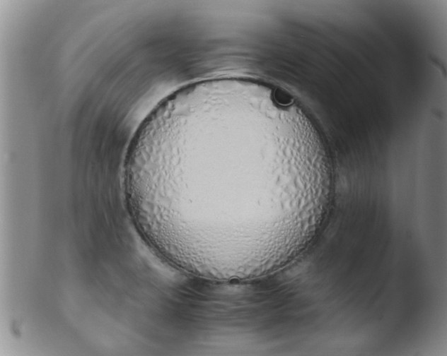 X0000103501423200809262003