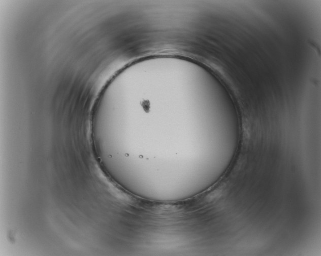 X0000103501424200809262003