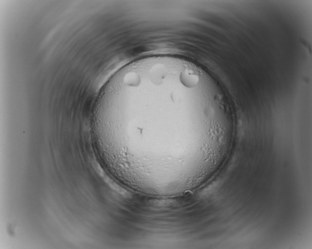 X0000103501425200809262003