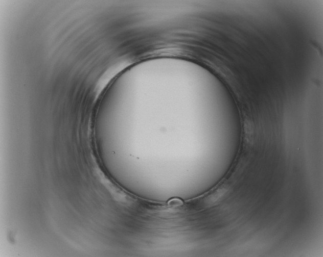 X0000103501426200809262003