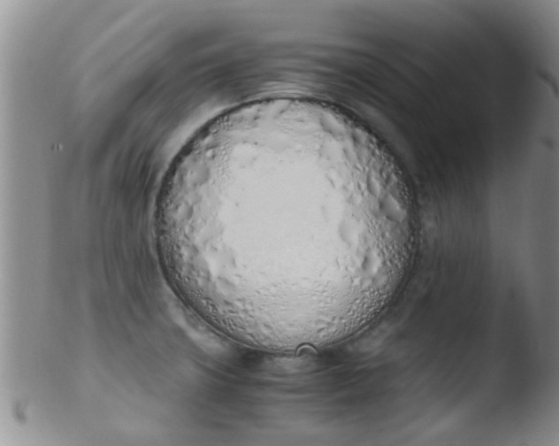 X0000103501427200809262003