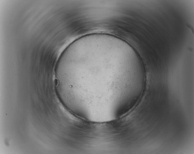 X0000103501428200809262003