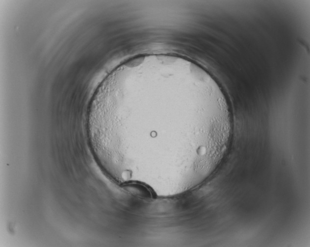 X0000103501429200809262003