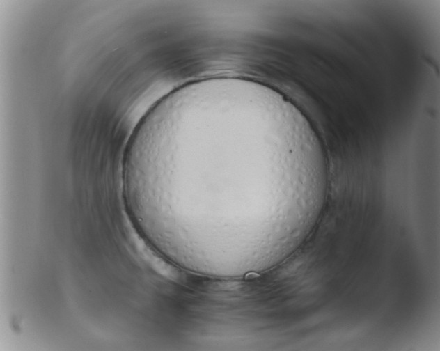 X0000103501431200809262003