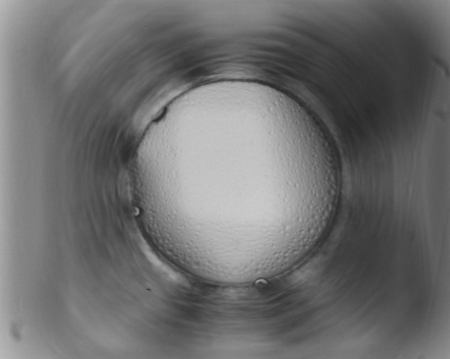 X0000103501433200809262003