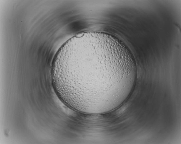 X0000103501434200809262003