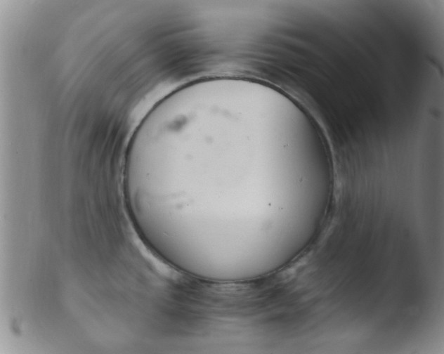 X0000103501437200809262003