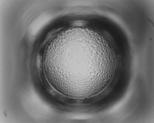 X0000103501438200809262003