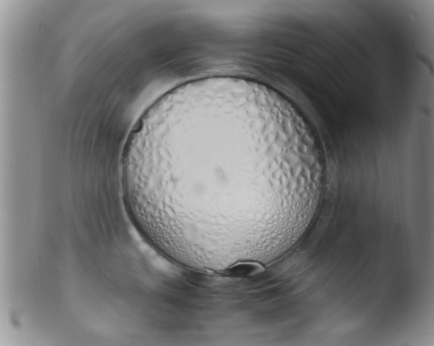 X0000103501439200809262004