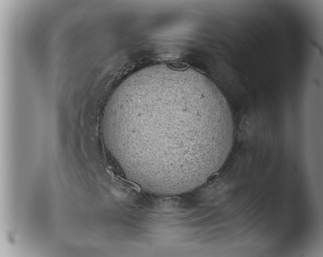 X0000103501441200809262003