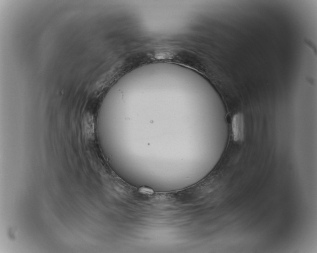 X0000103501443200809262003