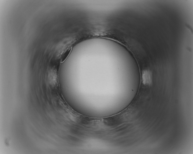 X0000103501444200809262003