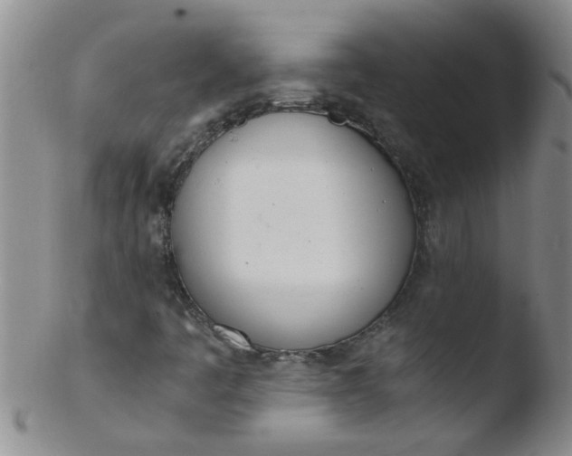 X0000103501445200809262003