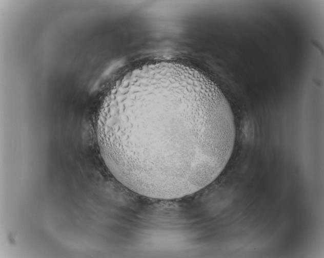 X0000103501446200809262003