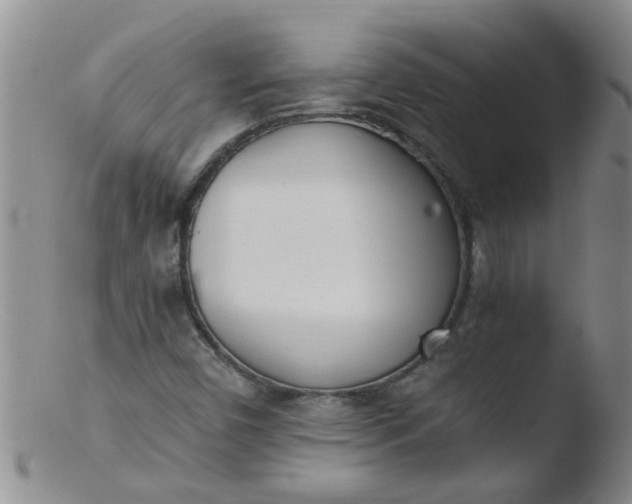 X0000103501450200809262002