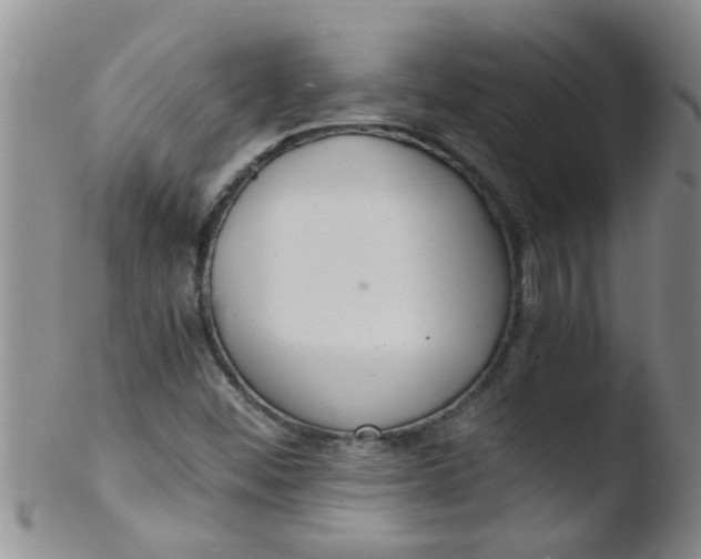 X0000103501452200809262002