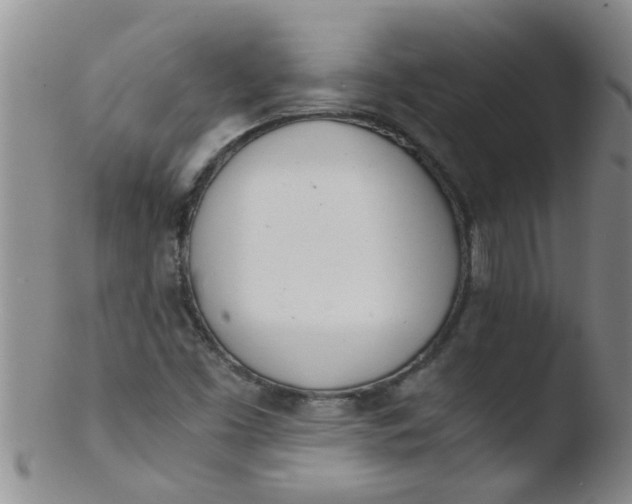 X0000103501453200809262002