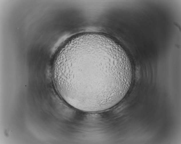 X0000103501454200809262002