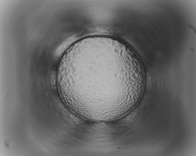 X0000103501455200809262002