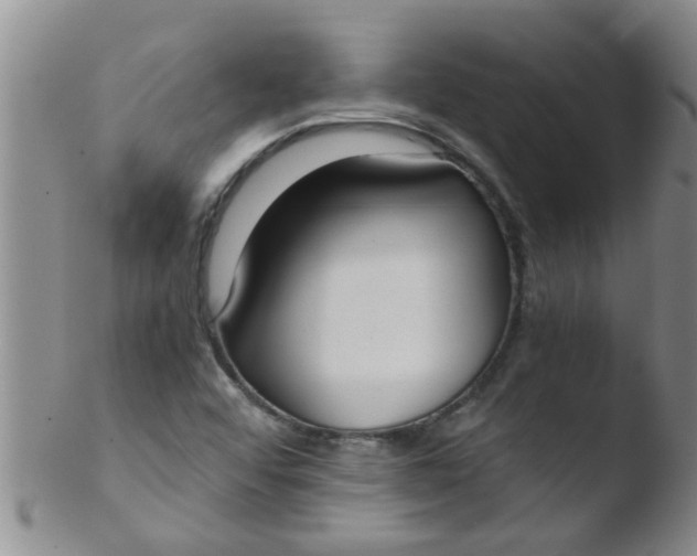 X0000103501456200809262002