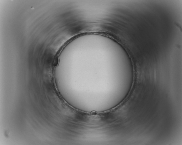 X0000103501457200809262002