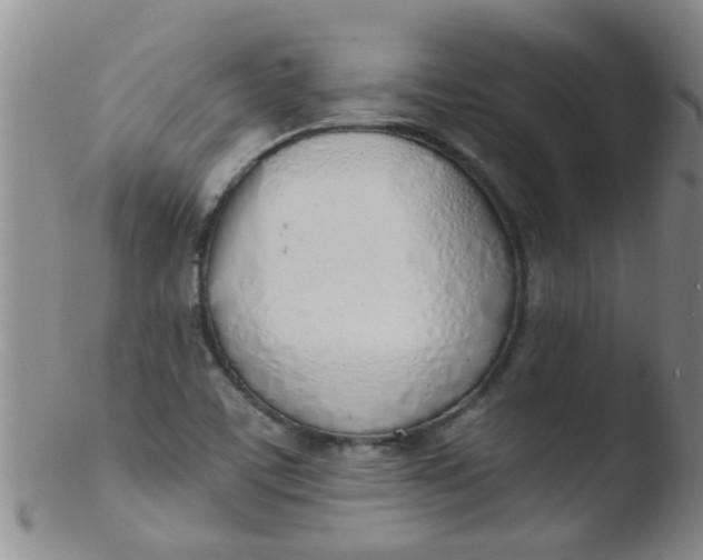 X0000103501459200809262002