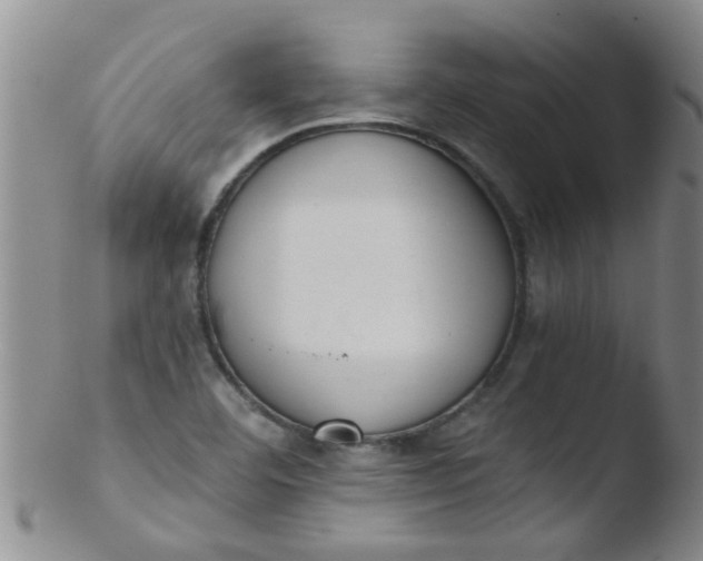 X0000103501460200809262002