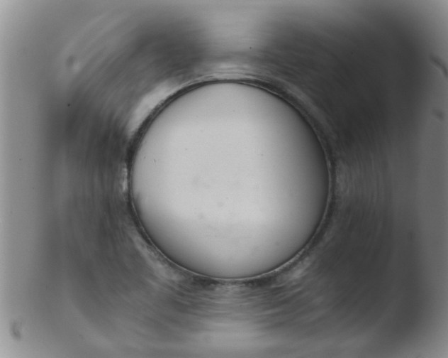 X0000103501461200809262002