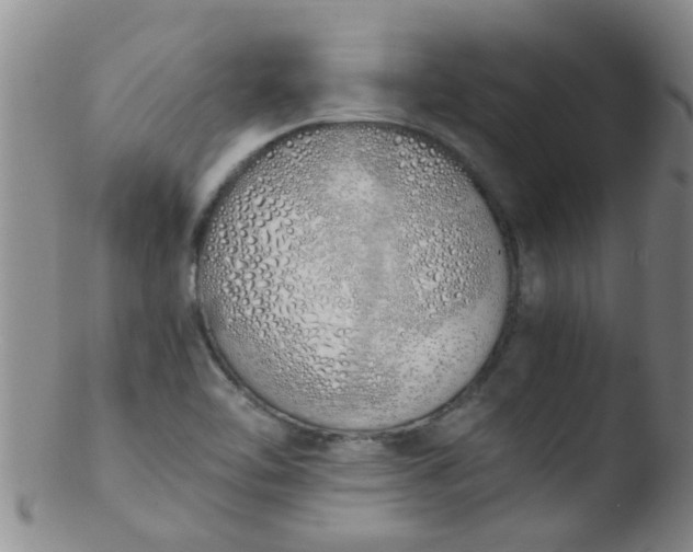 X0000103501462200809262002