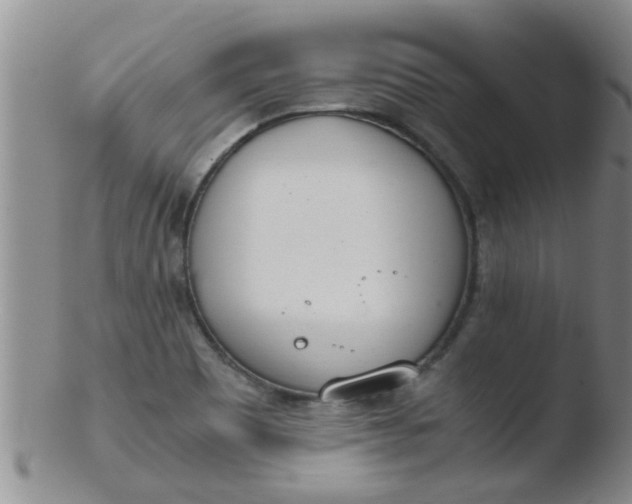 X0000103501465200809262002