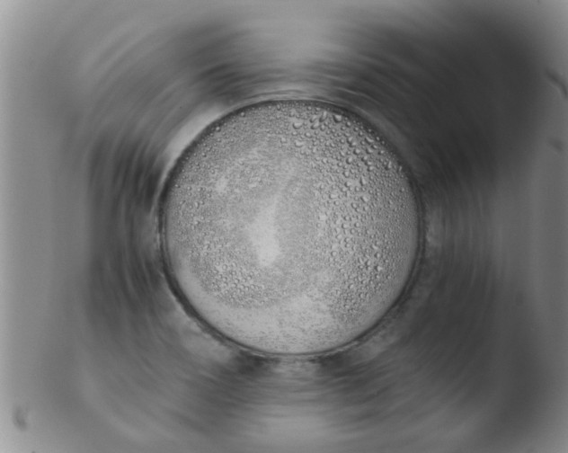 X0000103501466200809262002