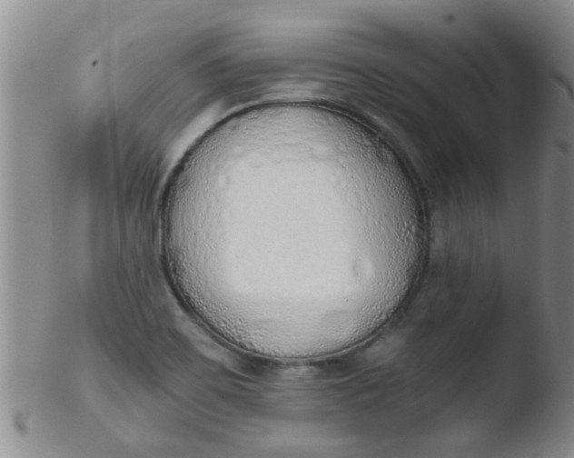 X0000103501467200809262002