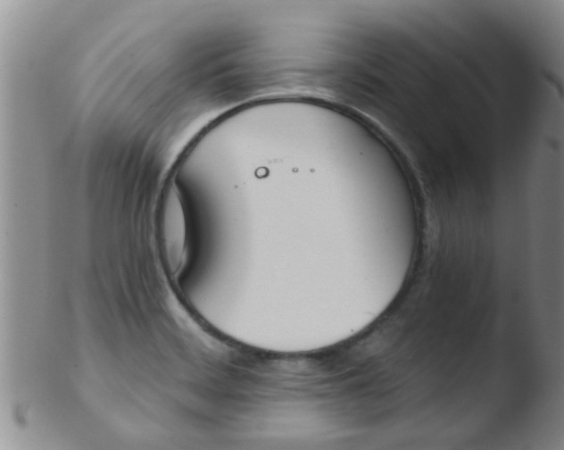 X0000103501468200809262002