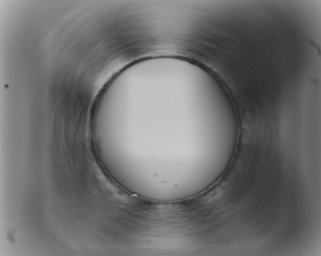 X0000103501469200809262002