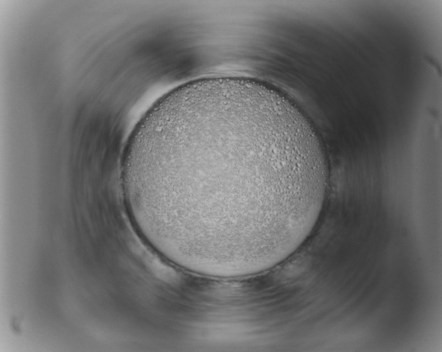 X0000103501470200809262002