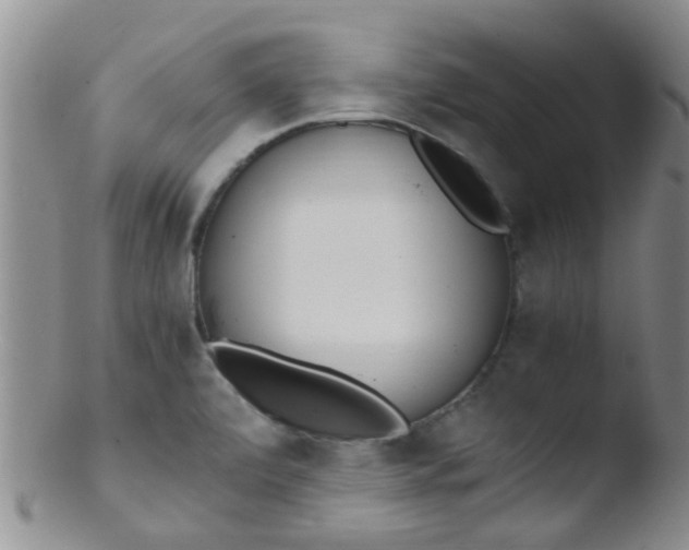 X0000103501472200809262002