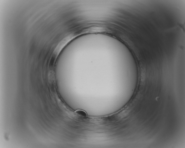 X0000103501473200809262002