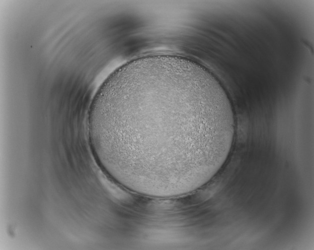 X0000103501474200809262002