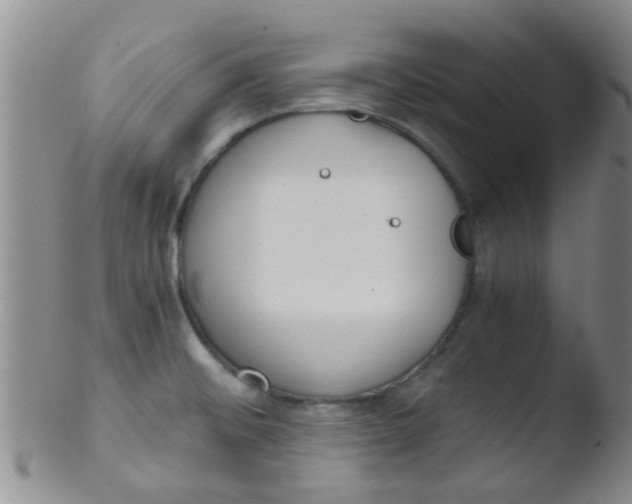 X0000103501476200809262002