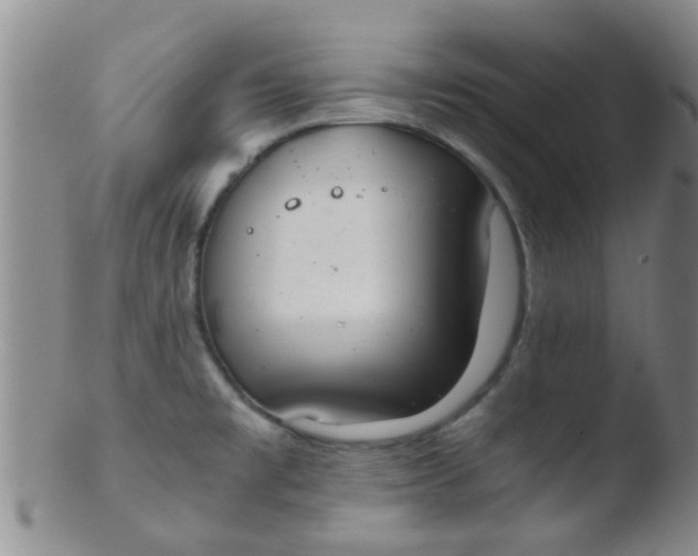 X0000103501477200809262002