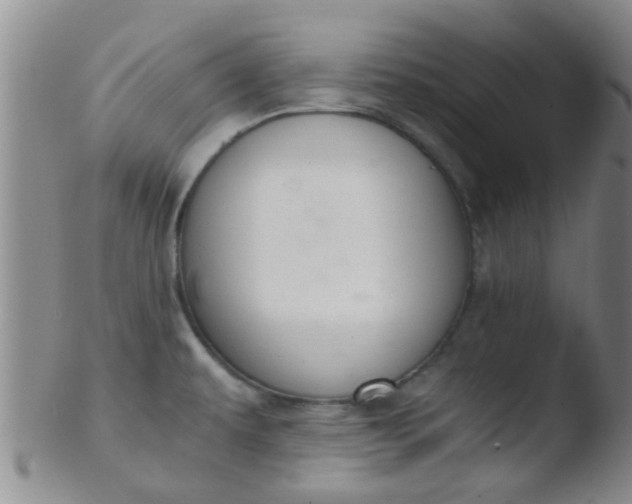 X0000103501479200809262002