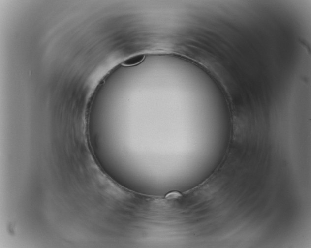 X0000103501480200809262002