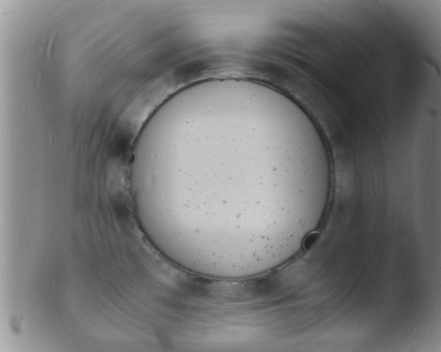 X0000103501481200809262002