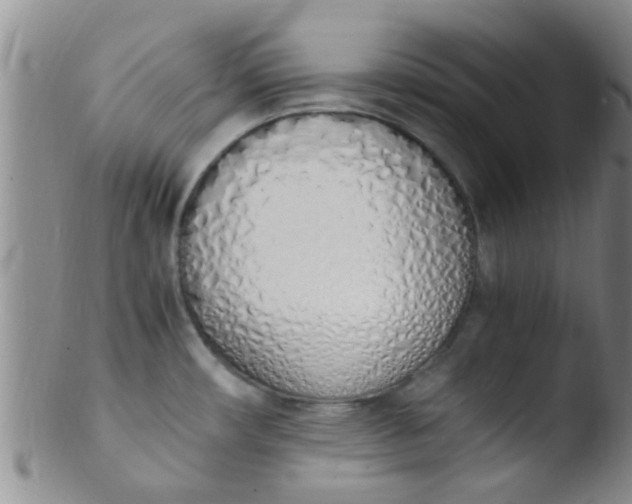 X0000103501482200809262002