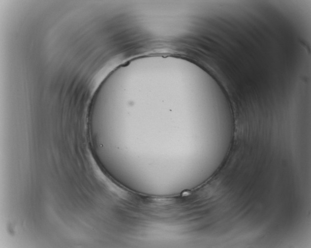 X0000103501483200809262002